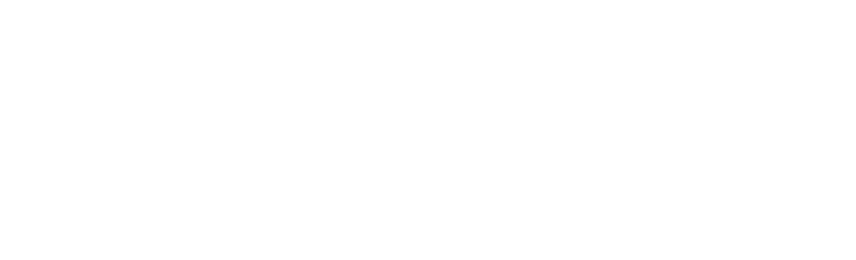 National Association of Professional Women