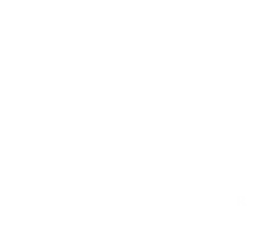 Realtor